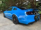 Thumbnail Photo 15 for 2013 Ford Mustang Shelby GT500 Coupe